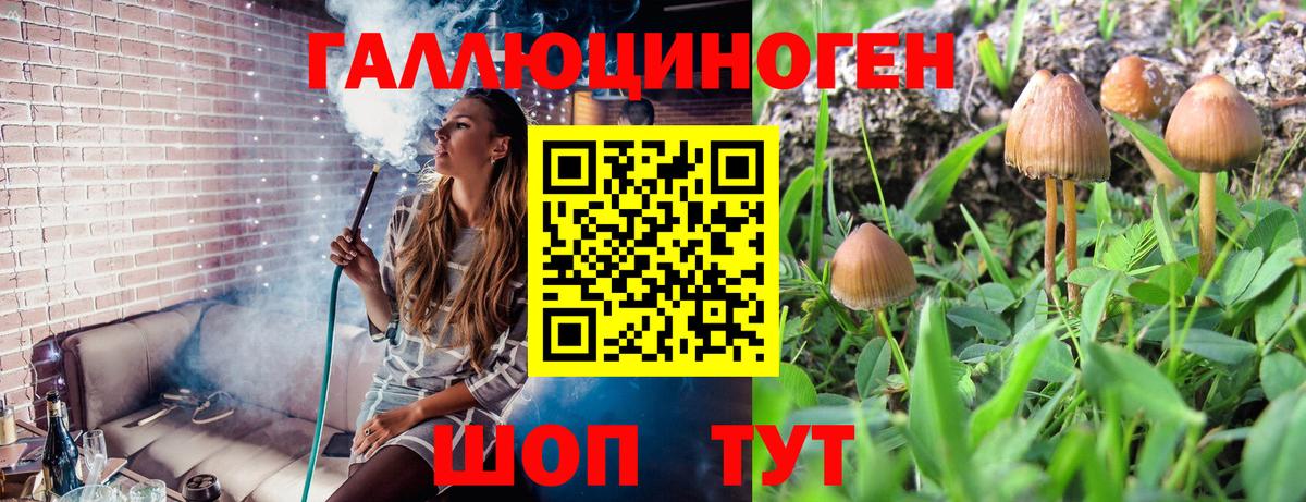 Псилоцибиновые грибы мицелий Знаменск