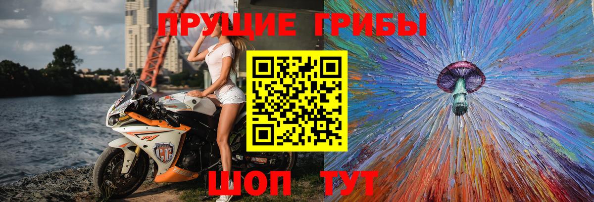 Псилоцибиновые грибы прущие грибы  Псилоцибиновые грибы Magic Shrooms  Знаменск  Вход с VPN 